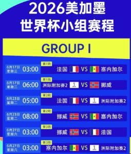 2026世界杯比赛画面